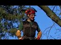 Elagage Arboreal