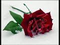 n?hat hatipoglu