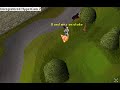 gambling and risking money