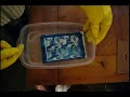Cyanotype Developing Cyanotype Developing