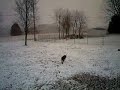 snowslide snowslide