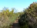 Ecotour05