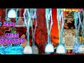 Bera All Hermit Zakum Run Part 2