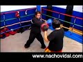Nacho Vidal - Boxing Nacho Vidal - Boxing