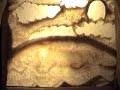 Sand Animation 2010 by Michael Romany