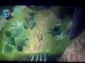  - MovieZen Video