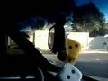 Outro video do som da fiorino...