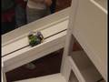 videos de search and rescue Team RSS at the 2nd western canada robocup