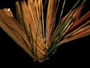 Death of the Book?- Mel Shaw- Finalist-Shutterbug08