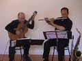 The Swan Classical guitar & Flute