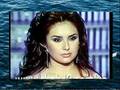 shahed barmada 2