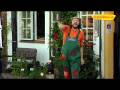 VeggieTales Musikclip HE-JO