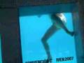 Ariana-sirena