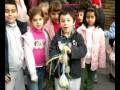 Patge Reial 08 Ceip Esteve Barrachina