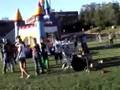 Cougar-Quest-Videos-