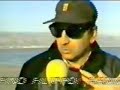 death of a dolphin  il delfino filippo  www adventureclub it
