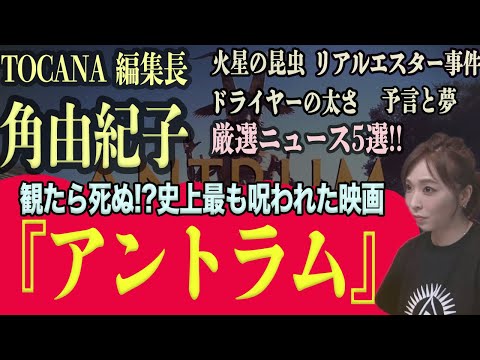 動画
