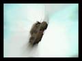 videos de Tank Rotation 3972