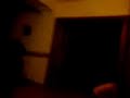 gatto scemo,io inseguo il mio gatto,poi lui insegue me