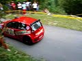 43 Rally alpi orientali 2007
