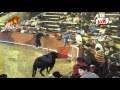 Ver Video