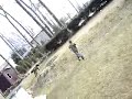 me-chasing-shellys-dog.html