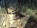 Gadg Goat track