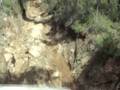 Gadg Goat track
