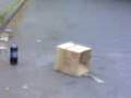 jackass caja de basura y pepsi (Daniel)