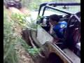 willys willys