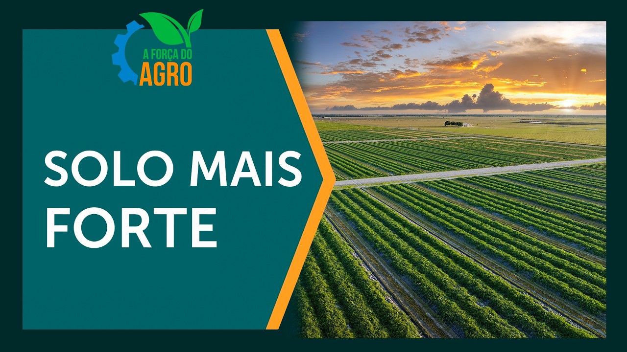 O segredo da Embrapa: Estruvita revoluciona o agro brasileiro  |  AFA, com Joice Maffezzolli