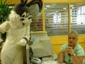 Coelhos na Puc-Rio (Parte 2) Coelhos na Puc-Rio (Parte 2)