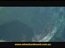 Adventure Bound Wreck Dive Adventure Bound Wreck Dive