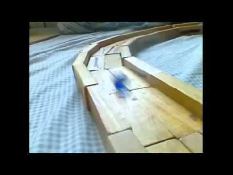 chain reaction cycles