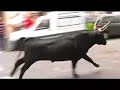 Abrivado