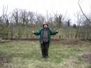Pruning the Bramley apple tree pic YouTube Preview Image