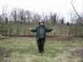 pruning the Bramley