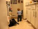 talon playing.