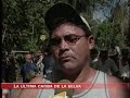La última caoba en la selva - Perú