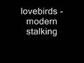 videos de lovebirds - modern stalking