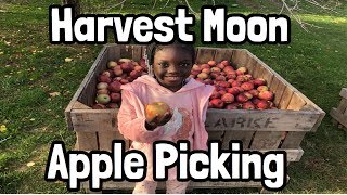 Harvest Moon Apple Picking Festival