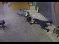 jackass - office chairs jackass - office chairs