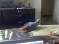 mon pote