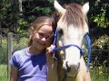 OzHorse 1