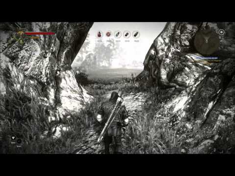 The Witcher 2 : Assassins of Kings