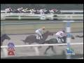 videos de [レースリプレイ] 081115 5京都3 04R 新馬
