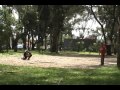 Cortometrajes