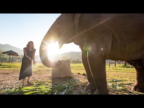 Why We Stopped Riding Elephants - Be Kind. Be Intrepid