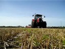 Fall 07 ploughin