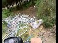 ribeiro e pires a andar d motorizada
